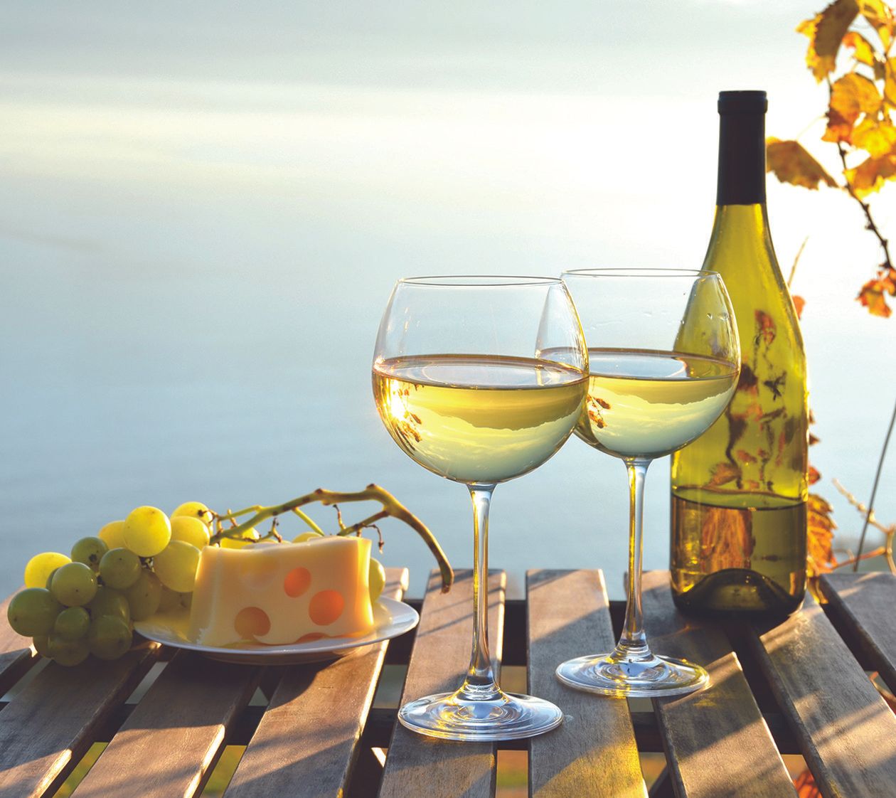 Vinhos Brancos undefined