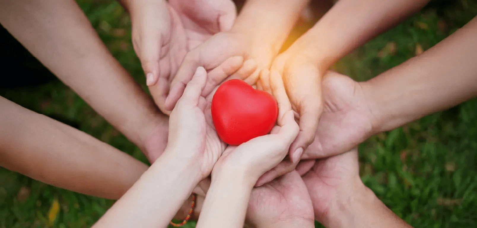 Collaboration with other organizations