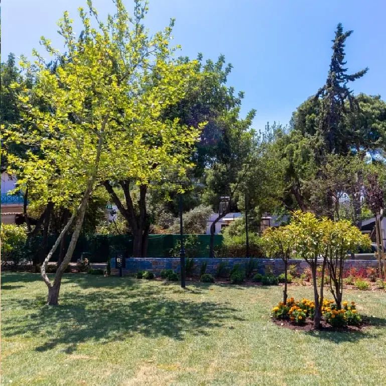 parko_gallerynew-18.webp