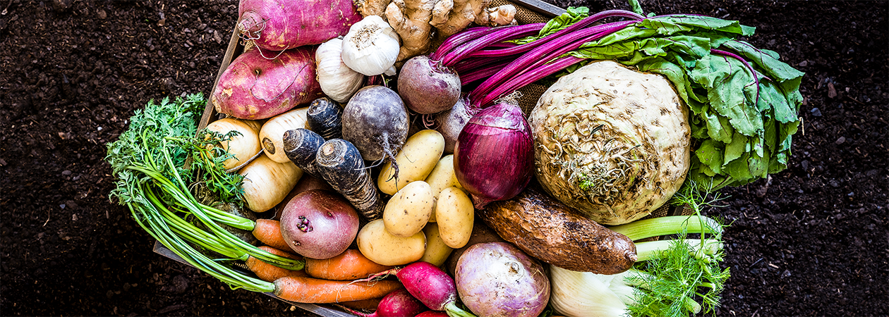 Organic produce undefined